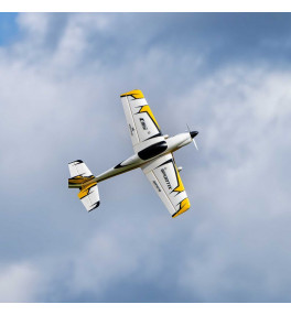 E-FLITE SPORTIX BNF AS3X...